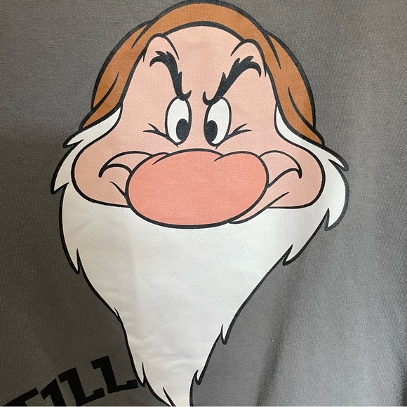 Disney Grumpy Snow White & the 7 Dwarfs Hooded Sweatshirt Women’s  Large - Picture 3 of 8